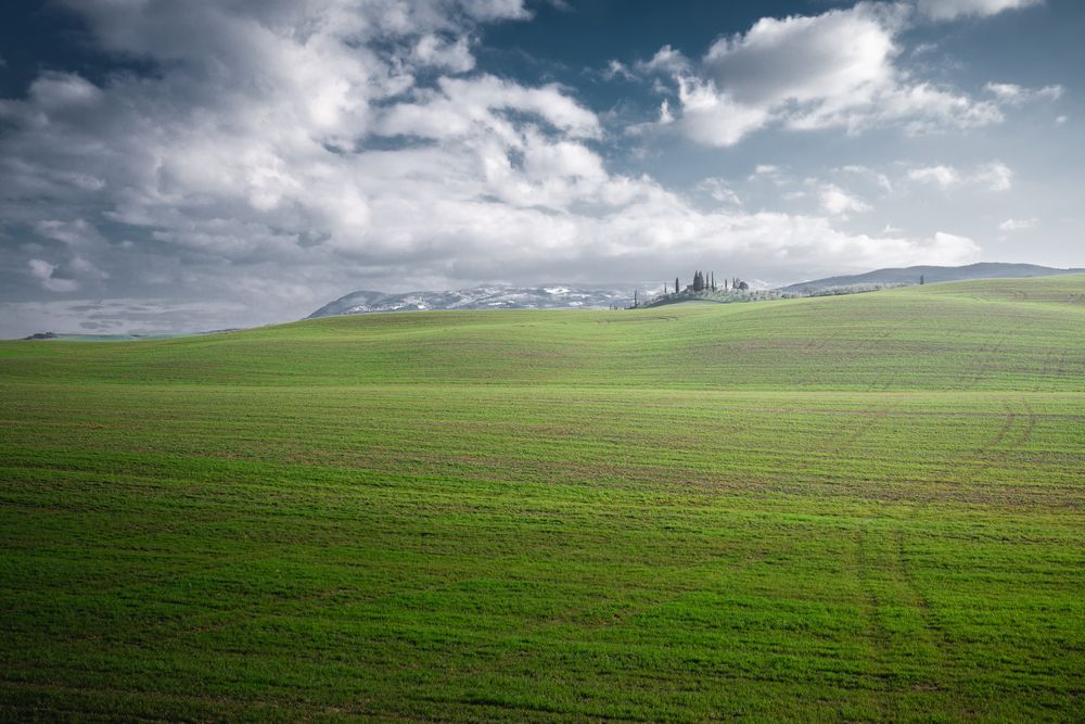 Wonderful empty green fields