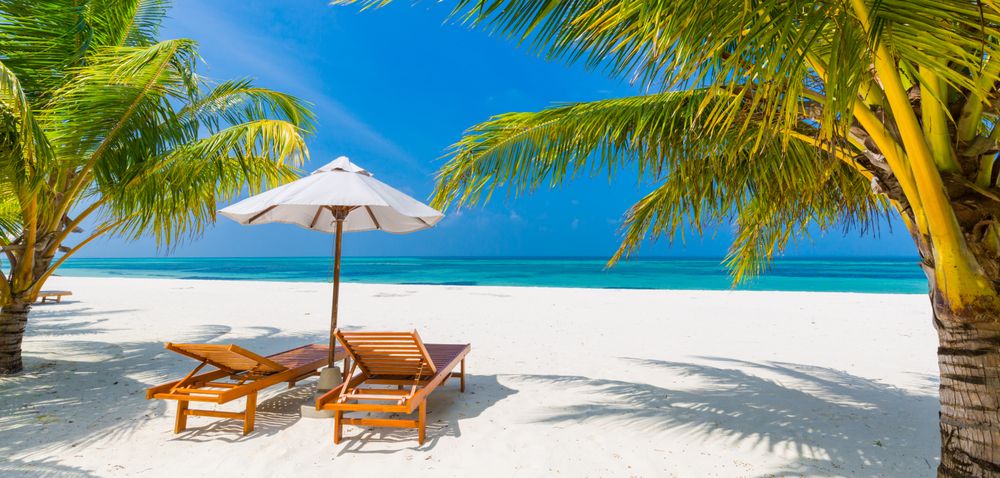 Palm trees surrounding reclining chairs on a beach