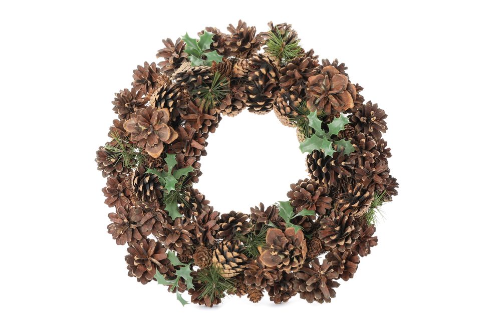 Christmas wreath with cones isolated on light background