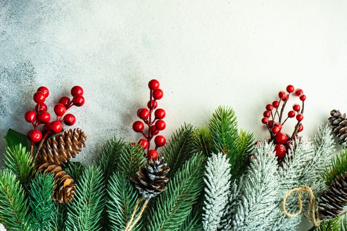 Fir branches lining bottom of image with berries and pine cones