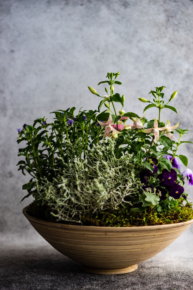 Easter floral composition in modern pot