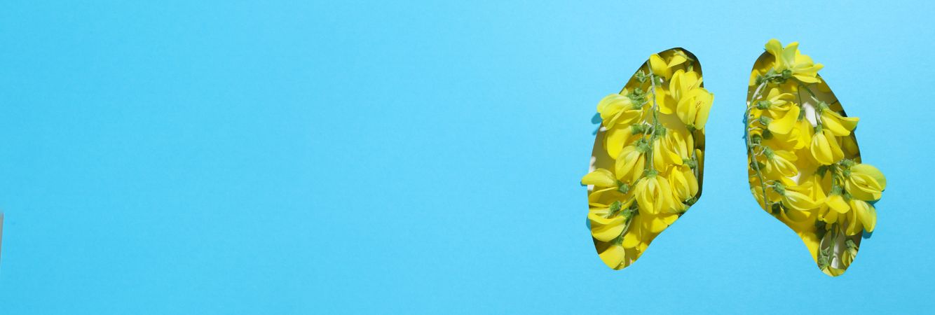 Banner of lung shape cut out of blue paper with yellow flowers underneath, allergy concept