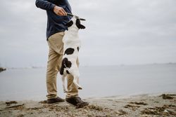 Crop man playing with dog on beach