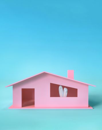 Pink house with bunny ears behind window