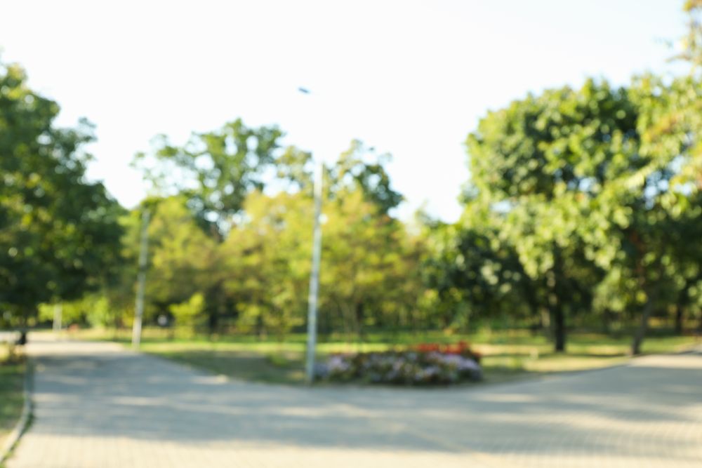 Blurred photo of city park in bright sunny morning