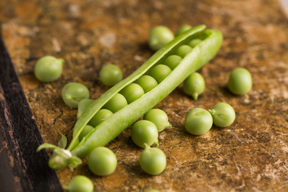Fresh peas and pea pods on dark background