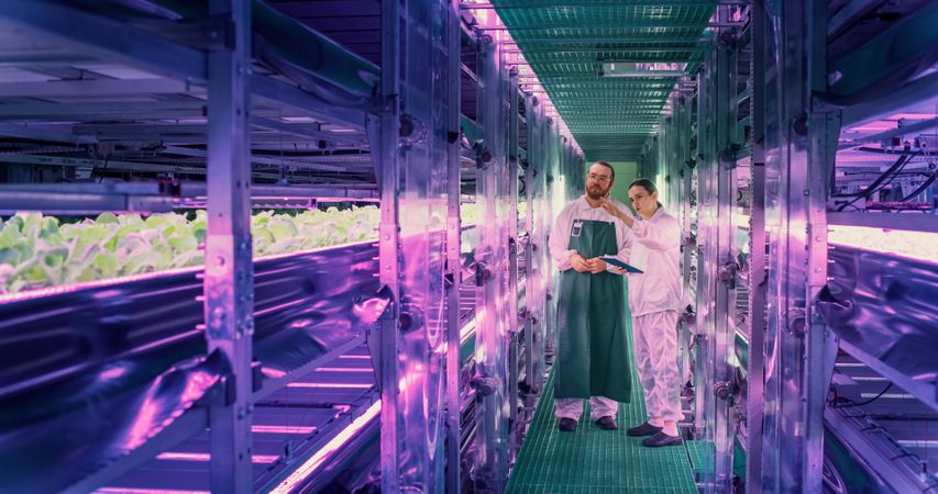 Farmer and Agriculture Engineer Having a Conversation at Vertical Farm, Discussing Fresh Plant Quality Before Packaging and Shipping to Supermarket. Gardener Providing Technical Advice to Colleague