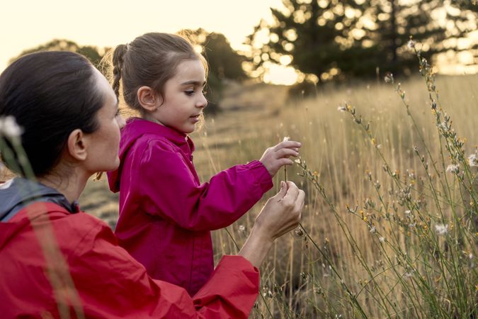 A mother and daughter discovering wildflowers together in a field at sunset.
