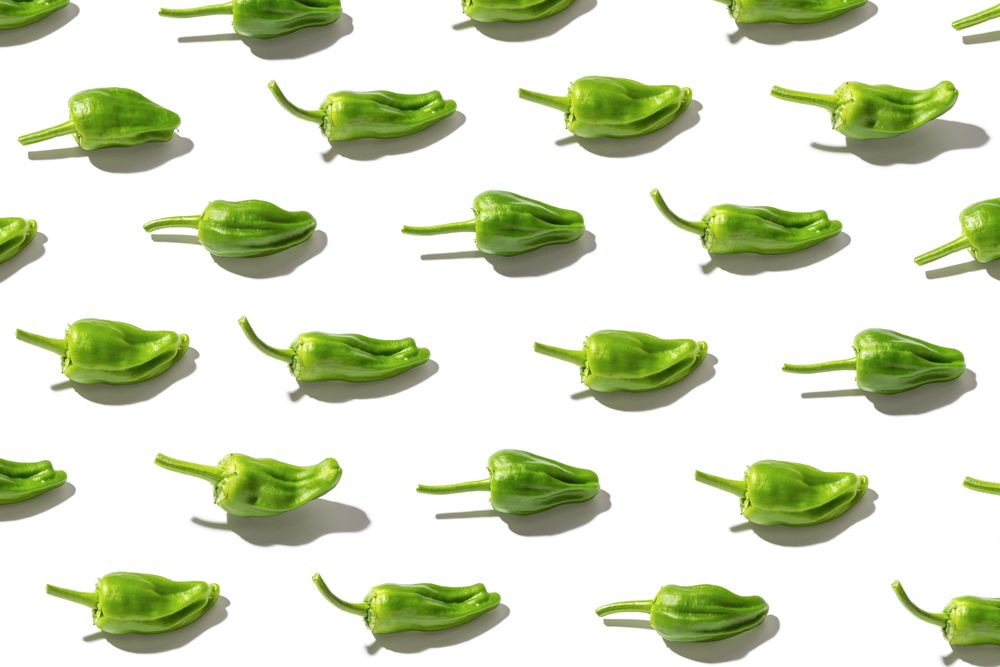 Fresh padron pepper