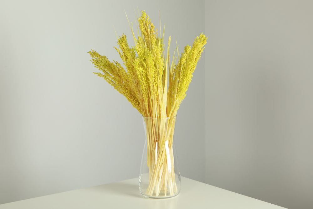 Vase of yellow reed grass in grey room