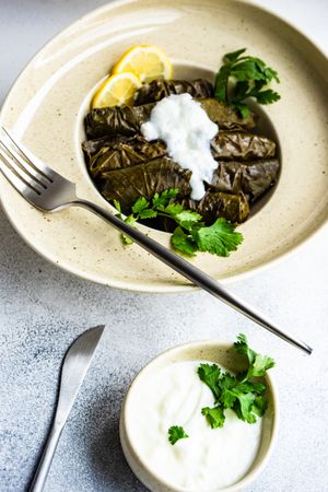 Modern platting of Georgian dolma dish