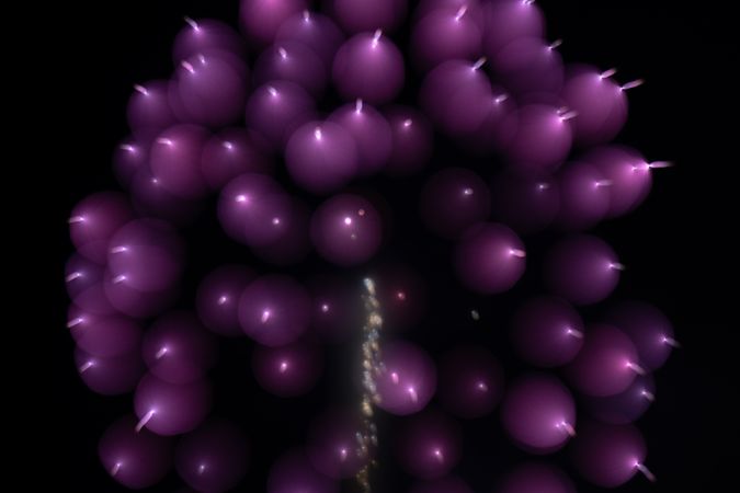 Bright fireworks on night sky