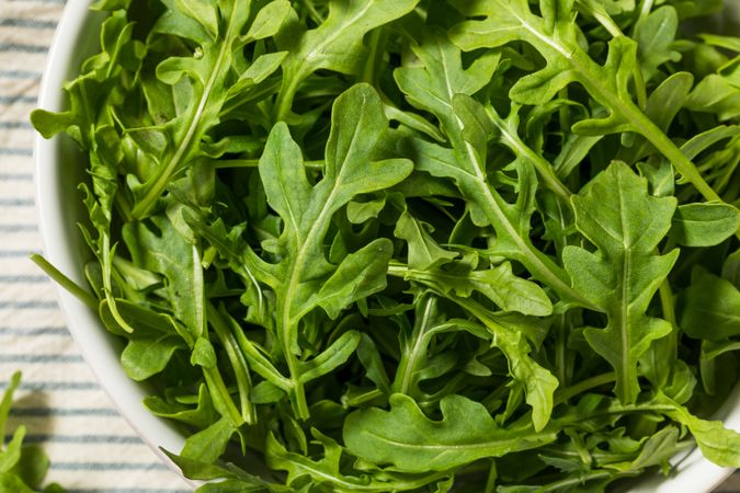 Organic Raw Green Arugula Rocket