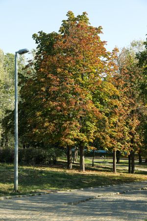 Beautiful city park in bright sunny morning