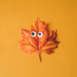 Halloween maple leaf with googly eyes and orange background