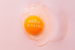 Fresh broken chicken egg