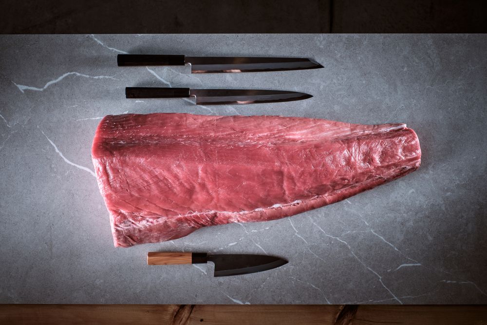 Bluefin tuna loin on a cement background with three knives