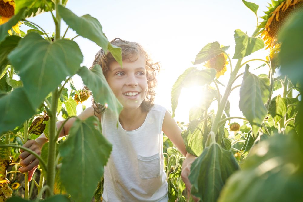 Happy child looking away in sunflower garden