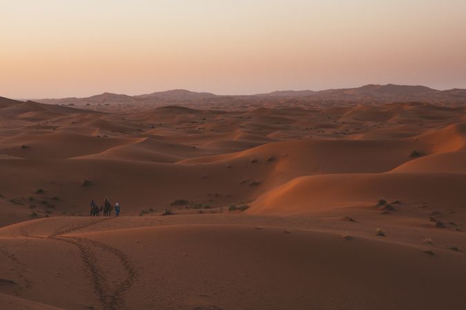 travelers on camels in sunset