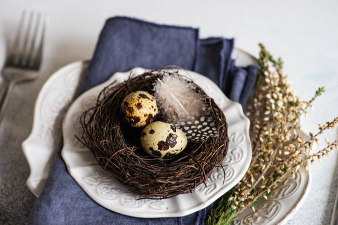 Easter spring card concept with speckled eggs in decorative nest on plate