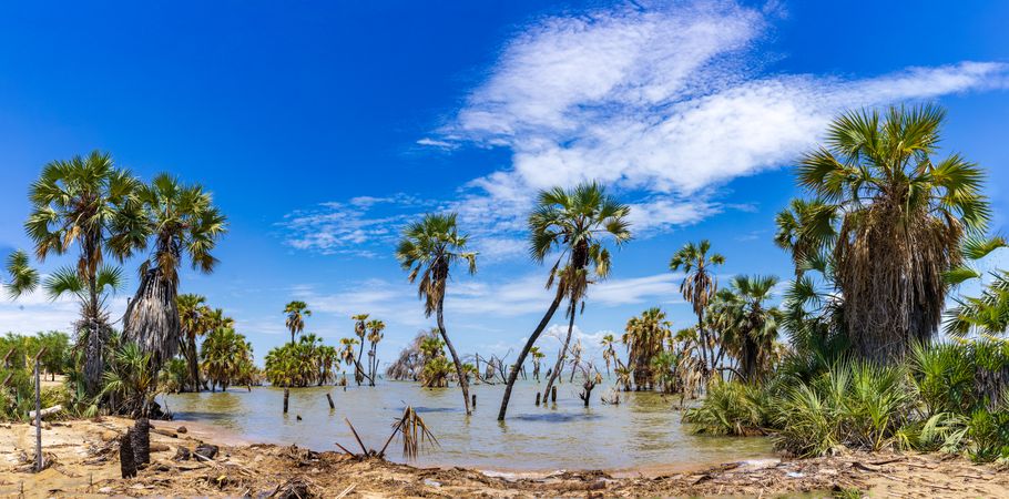 Lake Turkana Eliye Springs Beach Lodwar Landscapes Waterscape