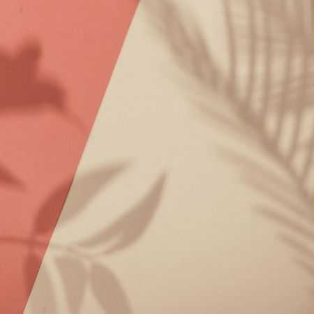 Top view of tropical leaf shadow on orange and sand color background