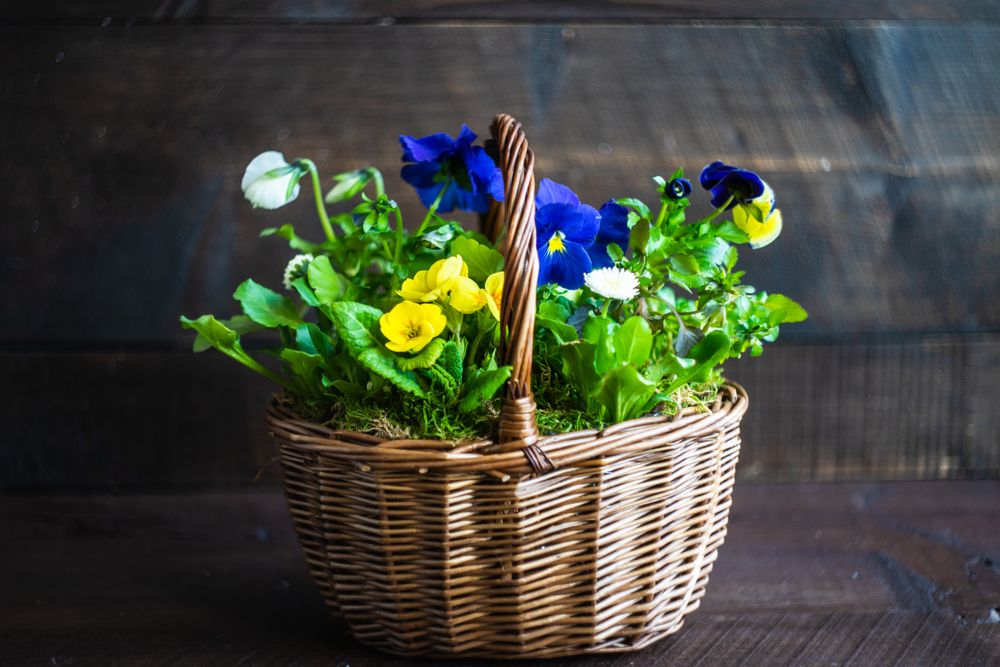 Side view of thatched basket of yellow and blue spring flowers