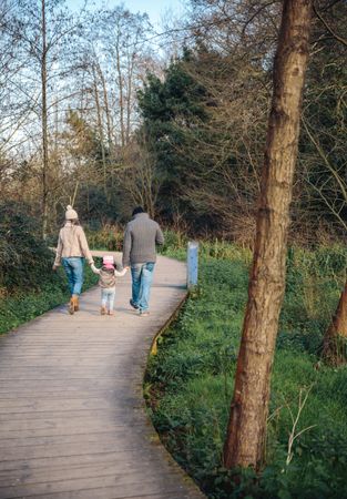 Back of parents walking with their young daughter on trail in forest