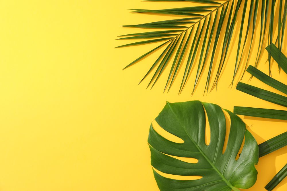 Different palm leaves on yellow background, copy space