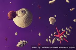 Space scene with seashells as stars and planets on purple background 0WEoW4