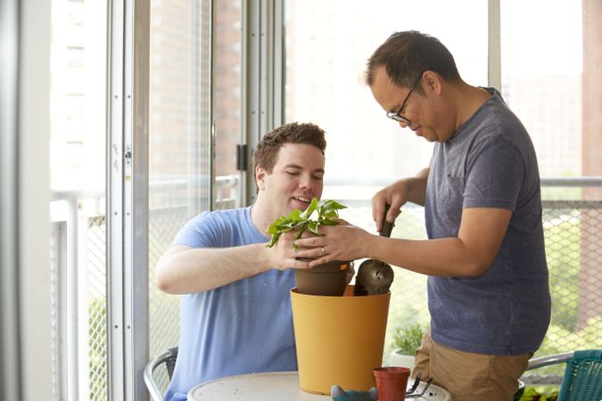 Two men putting plant in pot