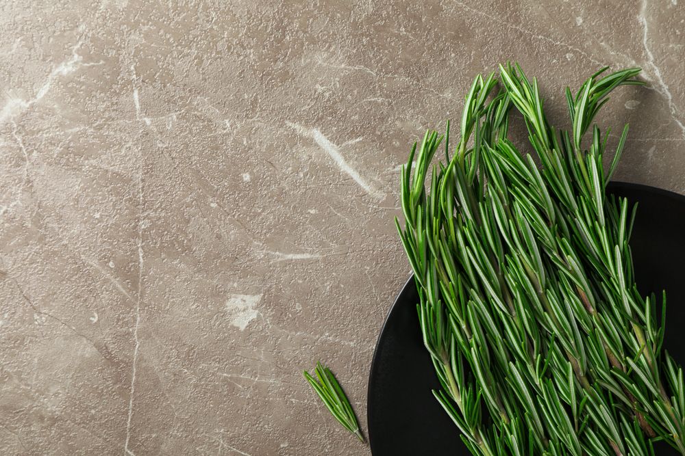 Plate with rosemary on grey table, top view