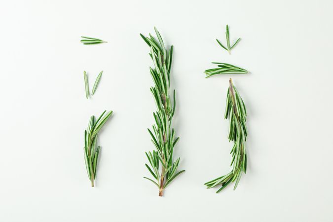 Flat lay composition with rosemary on neutral background, space for text