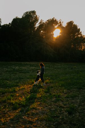 Woman kissing dog on meadow