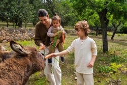 Cheerful mother and kids feeding cute donkeys