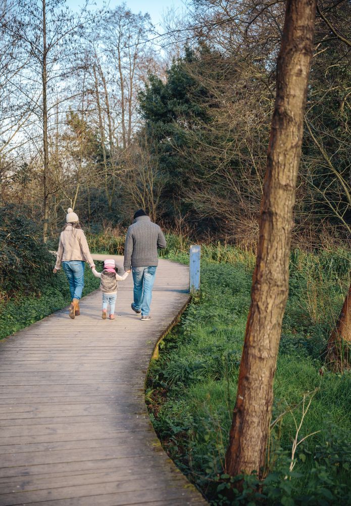 Back of parents walking with their young daughter on trail in forest