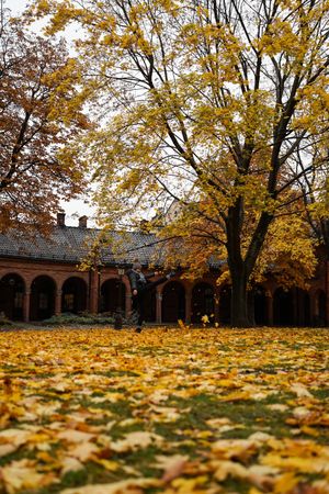 Autumn in patio of Oslo Cathedral in Norway