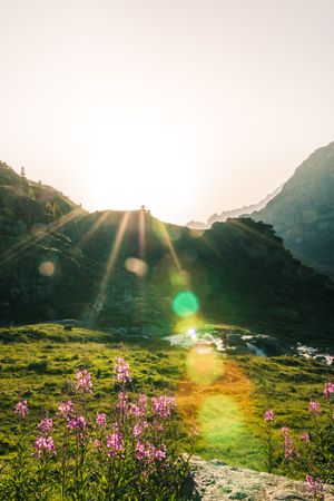 Shallow river flowing along rocky shore in bright day