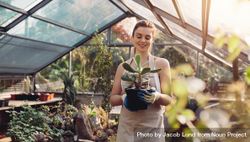 Female gardener smiling and carrying cactus plant in greenhouse 5a78Pb