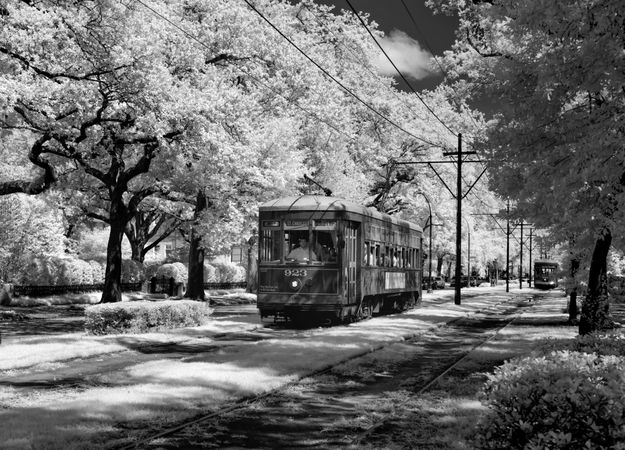 Infrared street cars, New Orleans, Louisiana