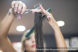 Hair stylist holding up brunette wet hair and trimming ends bxxQrb