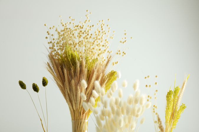 Tops of four varieties of dried flowers in grey room with copy space