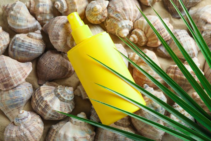 Many seashells, sunscreen and palm leaf on sea sand, space for text and closeup. Summer vacation backdrop