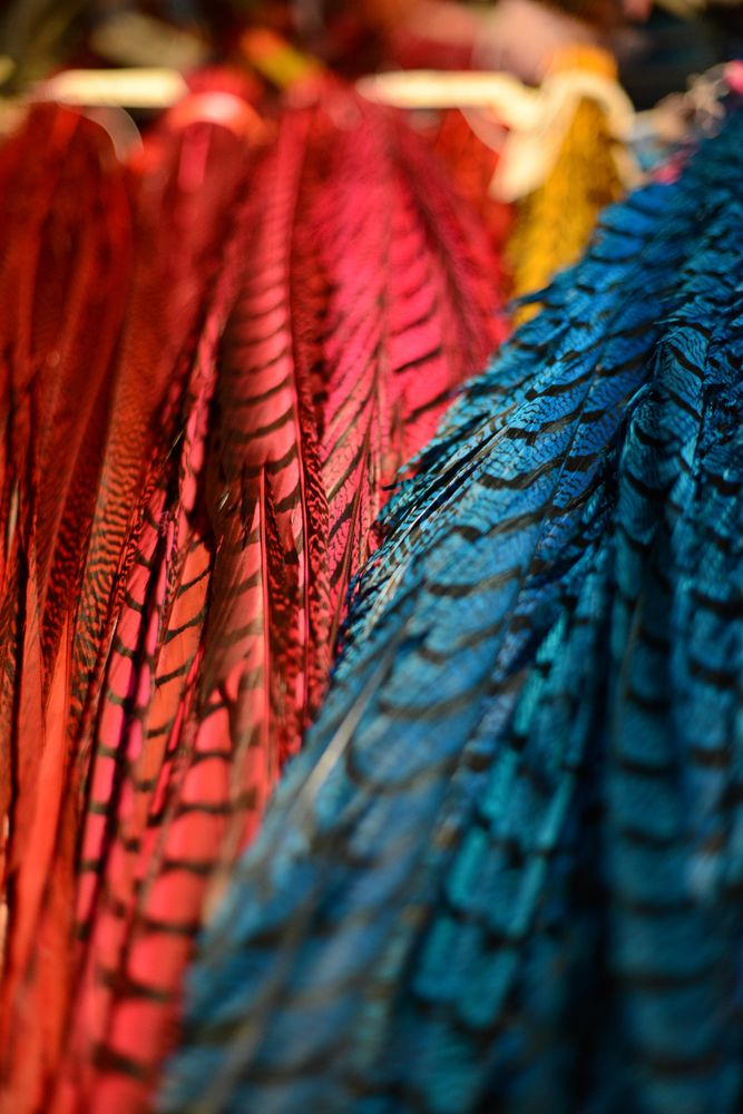 Colorful feathers celebrating Aztec culture