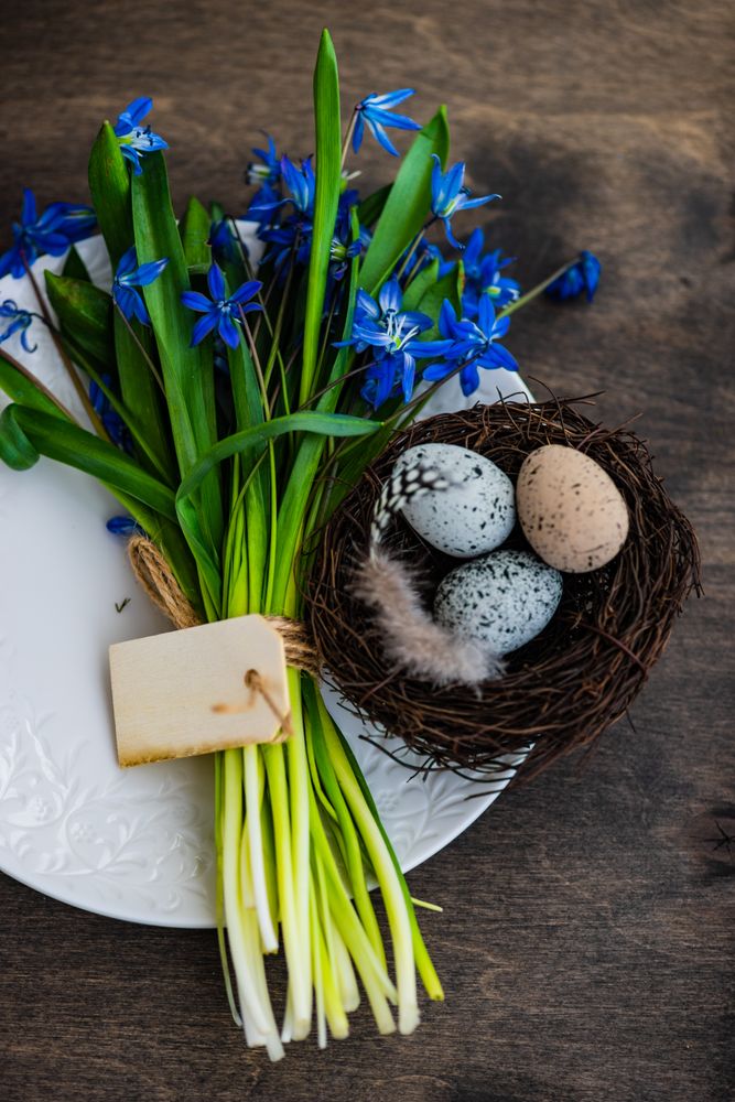 Easter table setting with scilla flowers, nest and eggs