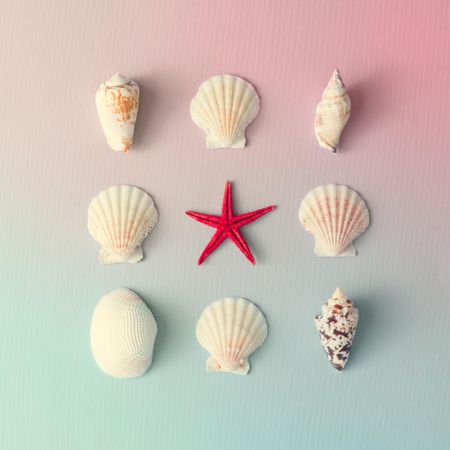 Seashell pattern with red starfish on gradient pastel pink and blue background