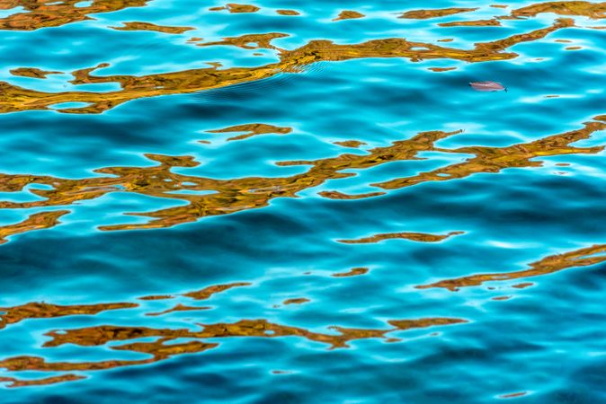 Lake water waves with autumn leaves reflection, background full frame