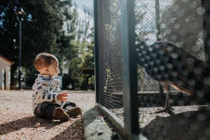 Young boy sitting beside a peacock in a cage