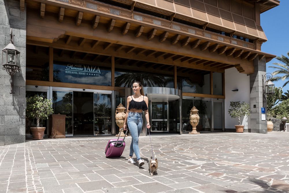 Woman walking her dog and luggage outside the hotel