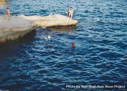 Cute dog jumping off rock into Mediterranean Sea 0yBZ15